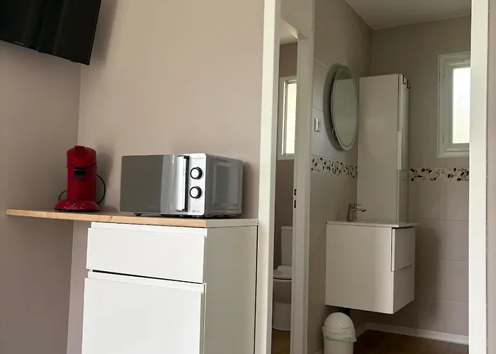 Avec Douche-wc, Terrasse Privative Et Piscine Partagee